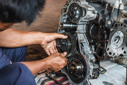 An Expert Fixing An Engine